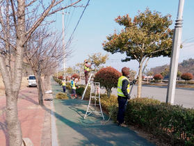 [NSP PHOTO]광양시, 도시숲관리단 기간제근로자 모집