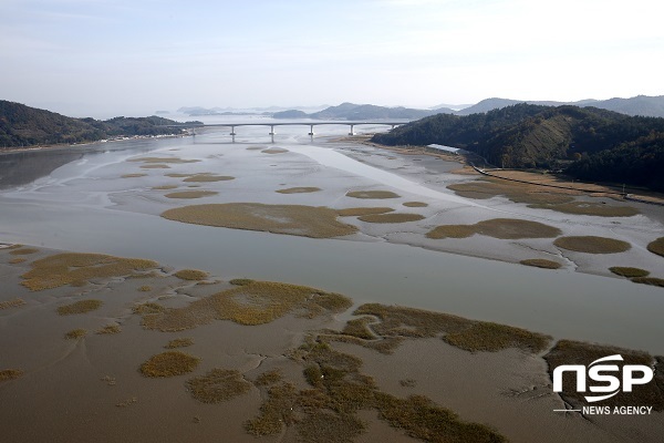 NSP통신- (보성군)