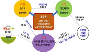 [NSP PHOTO]영천 마늘, 농식품부 농촌융복합산업지구 공모 선정