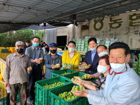 [NSP PHOTO]광양농협, 숙원사업 농산물 산지유통센터 건립 청신호