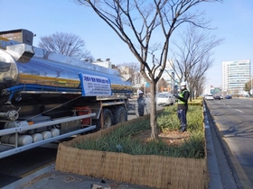 [NSP PHOTO]수원시, 겨울철 제설제 피해 가로수 생육환경 개선