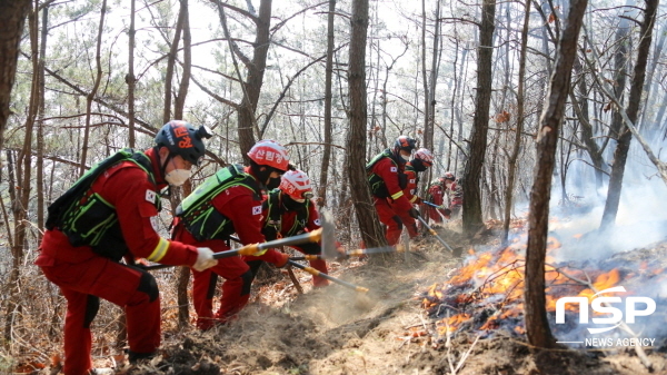 NSP통신-산불 진화대가 산불을 진화하고 있다. (산림청)