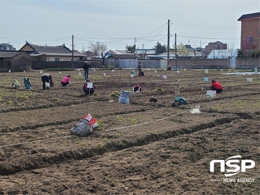 [NSP PHOTO]완주군, 마을ㆍ시민 텃밭 분양...21일부터 선착순 접수