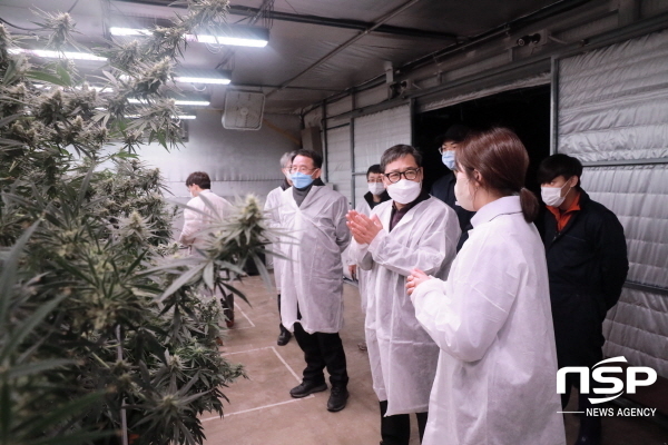 NSP통신-하대성 경북도 경제부지사는 18일 안동포 전시관과 경북바이오산업연구원을 방문해 참여기업과 지원기관 관계자들을 격려하고 경북형 헴프 산업화 추진을 독려했다고 밝혔다. (경상북도)