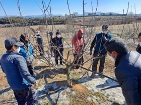 [NSP PHOTO]정읍시, 품목별 지역농산물 재배 기술 지원 나서