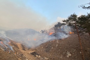 [NSP PHOTO]산림청·전남도 전폭 지원...구례 대형 산불 막았다