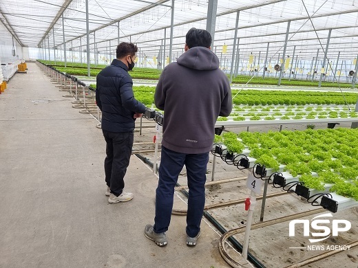 [NSP PHOTO]정읍시, 봄철 시설작물 월동 병해충 발생 주의보
