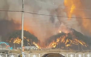 [NSP PHOTO]정부, 경북 울진 산불에 재난사태 선포