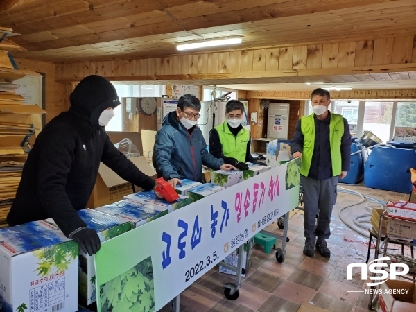 NSP통신-지난 5일 정종학 울릉농협 조합장(왼쪽에서 두번째)과 농협 직원들이 고로쇠농가를 찾아 일손을 돕고있다. (울릉농업협동조합)