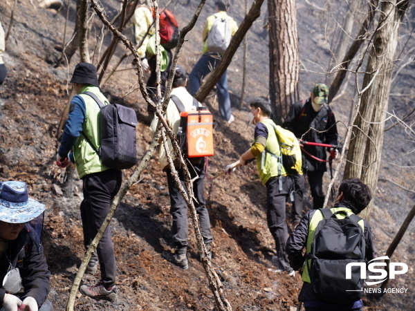 NSP통신-경상북도교육청은 본청 직원들의 자발적 참여를 통해 10일부터 오는 11일까지 2일간 매일 40명씩 총 80여 명이 울진군 산불피해 현장 지원에 나섰다고 밝혔다. (경상북도교육청)