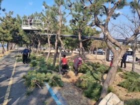 [NSP PHOTO]광양시, 배알도 수변공원 수목 전정으로 아름다운 공원 환경 조성