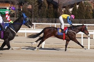 [NSP PHOTO]승부사·장추열 기수, 삼관마 향한 첫 걸음 출발