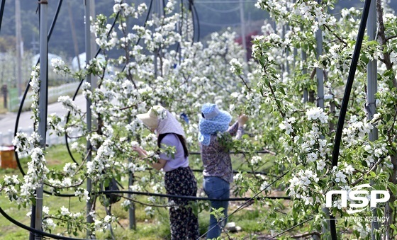 [NSP PHOTO]장수군, 여성농업인 복지서비스 확대