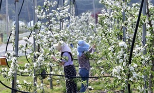 [NSP PHOTO]장수군, 여성농업인 복지서비스 확대