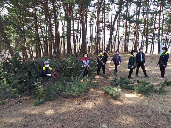 NSP통신-2022 춘갑봉 릴레이 줍깅행사. (강릉시)