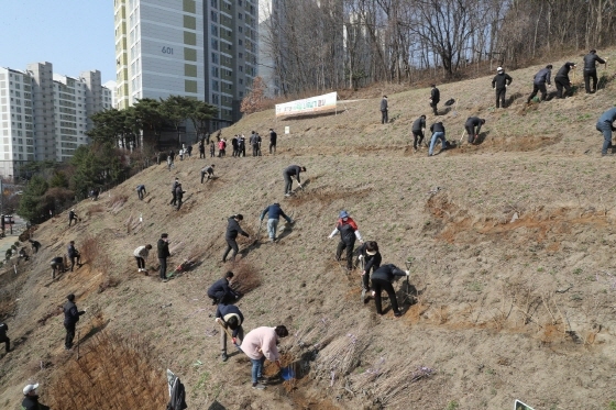 NSP통신-군포시 공직자와 주민 등 참석자들이 부곡동 삼성마을 6단지 녹화터널 인근 경사지에서 식목일 기념 나무심기를 하고 있다. (군포시)