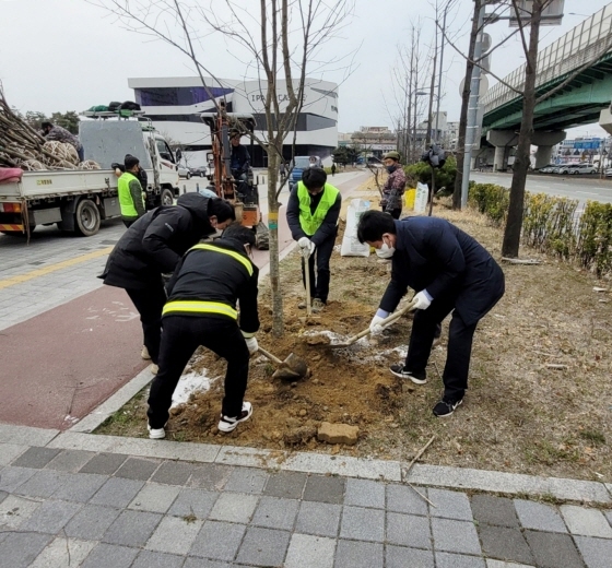 NSP통신-23일 수원시공원녹지사업소·수원도시숲연합회 관계자들이 수원버스터미널 사거리 인근 녹지대에 팥배나무를 심고 있다. (수원시)