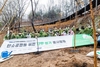 [NSP PHOTO]HMM, 탄소중립을 위한 나무심기 봉사활동