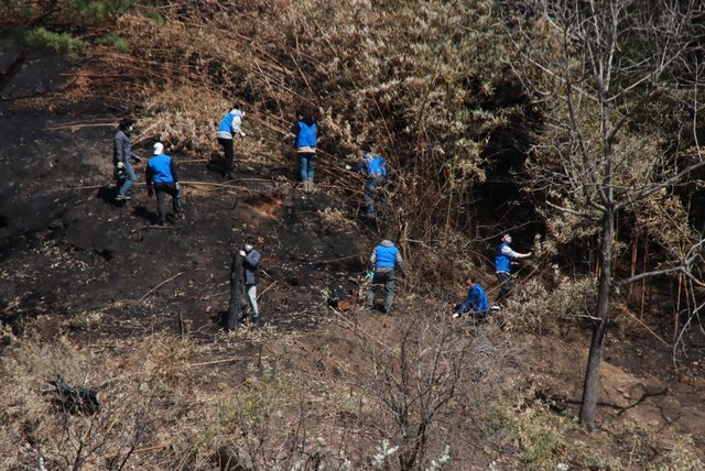 NSP통신-27일 더불어민주당 전국청년당 산하 지속가능발전분과위원회, 더청년봉사단과 더청년국제협력단이 강릉시 옥계면 산불 피해 현장을 찾아 봉사활동을 펼쳤다. (더청년봉사단)