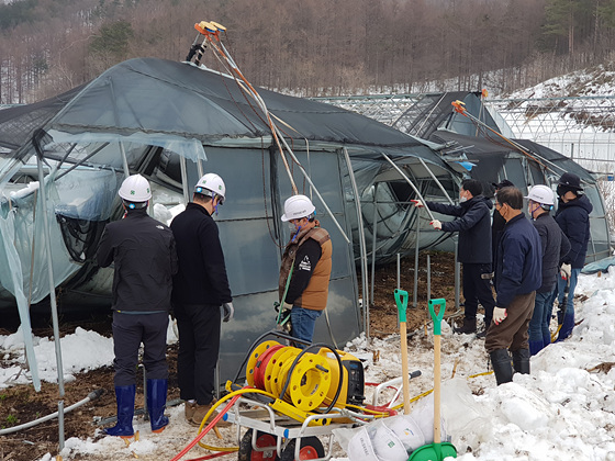 NSP통신-삼척시 하장면 폭설 피해 농가 시설하우스 철거 작업 실시. (삼척시)