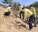 [NSP PHOTO]경북교육청, 희망을 심는 식목 행사 가져