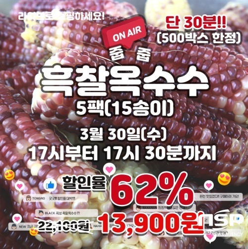 NSP통신- (곡성군)