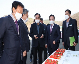 [NSP PHOTO]의성군, 의성청년딸기 첫 홍콩 수출 선적식