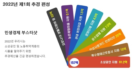 NSP통신-2022년 제1회 추경 예산 편성. (안성시)