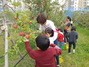 (NSP NEWS Image)수원시, 7가지 다양한 과일 과수공원 체험 프로그램 운영