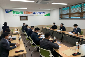 [NSP PHOTO]의성군, 경북 조공법인 추진전략회의 개최