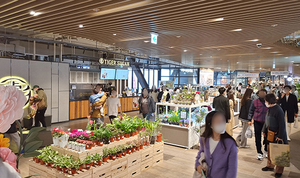 [NSP PHOTO]누보 용산아이파크몰서 희귀식물 기획전 진행