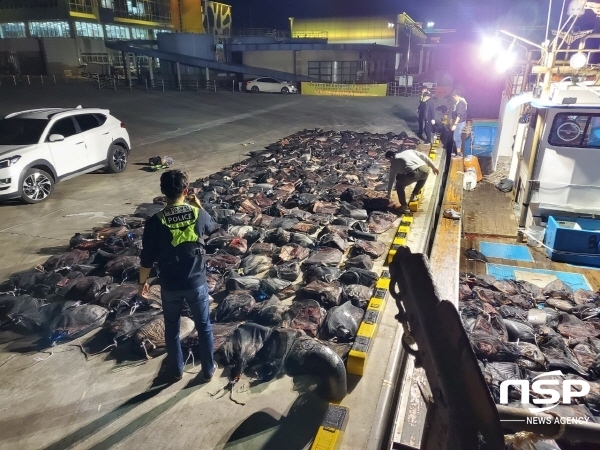 [NSP PHOTO]포항해경, 시가 6억원대 불법포획 고래 운반 선박 검거