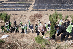 [NSP PHOTO]성남시, 식목일 맞아 미세먼지 먹는 나무 430그루 식재