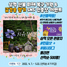 [NSP PHOTO]삼척시, 산불피해복구기원 SNS 인증샷 이벤트 진행