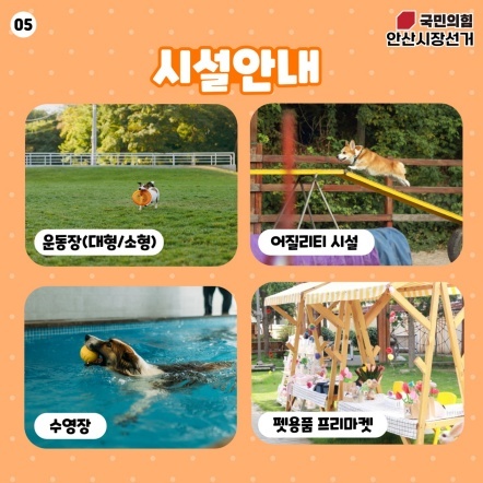 NSP통신-반려동물 운동장 설치 등 공약발표 이미지. (박주원 안산시장 예비후보 캠프)
