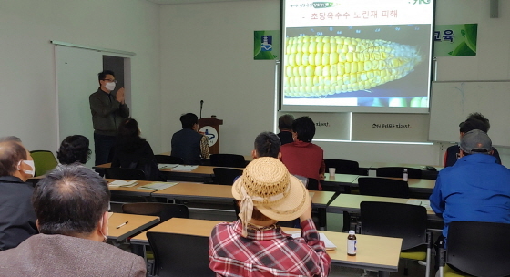 NSP통신-21일 수원로컬푸드지원센터에서 진행된 초당옥수수 재배 기술 교육 모습. (수원시)