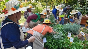 [NSP PHOTO]군산시, 도시농업 녹색공간(텃밭) 조성사업 추진