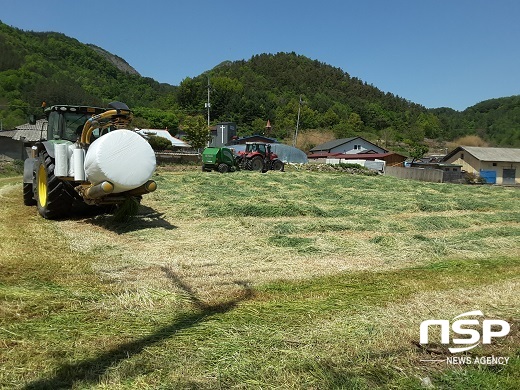 [NSP PHOTO]진안군, 추파용 사료작물 종자 신청기간 6월까지 연장