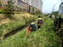 [NSP PHOTO]동해시 천곡동행정복지센터, 새봄맞이 국토대청결 운동 전개