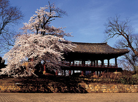 [NSP PHOTO]삼척시, 문화재 활용 생생문화재 활용 사업 추진