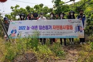 [NSP PHOTO]전남자원봉사센터 농촌일손돕기 봉사활동 선제적 지원 나서