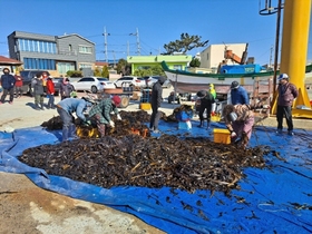 [NSP PHOTO]경북도, 올해 우수 귀어귀촌인 및 漁울림마을에 선정