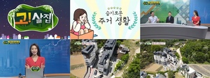 [NSP PHOTO]고! 살집 김나영, 분당 다가구주택 소개