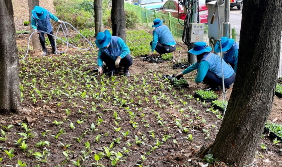 NSP통신-군포1동 경기행복마을관리소 지킴이들이 쓰레기 무단투기 지역에 식재작업을 하고 있다. (군포시)