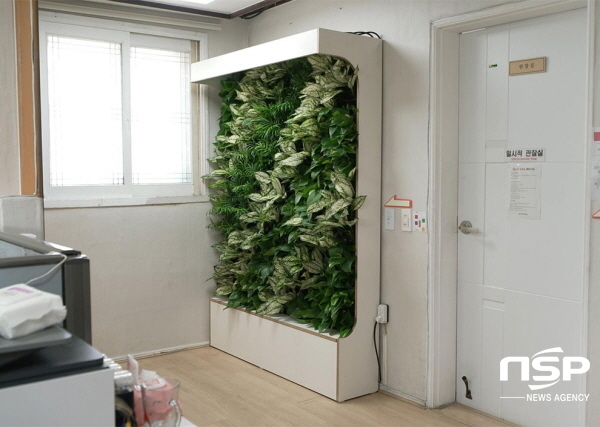 NSP통신-포스코가 지역 아동들이 친환경 공간에서 건강하게 생활할 수 있도록 지역 아동복지시설 내 일부 벽면을 식물로 채우는 벽면 녹화사업을 추진한다. (포스코)