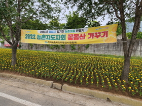 [NSP PHOTO]광양시농촌지도자회, 여름꽃으로 활기찬 경관 조성 앞장서