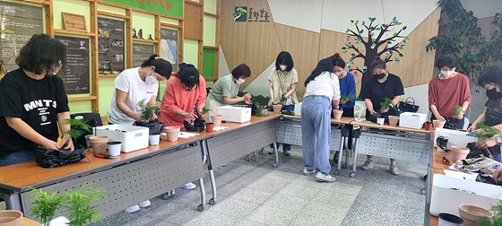 NSP통신-강릉솔향수목원에서 가드닝 체험프로그램을 진행하고 있다. (강릉시)