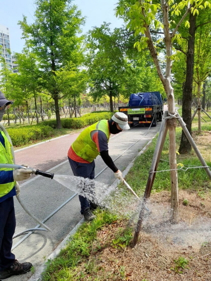 NSP통신-공원녹지 나무에 관수를 하고 있다. (수원시)