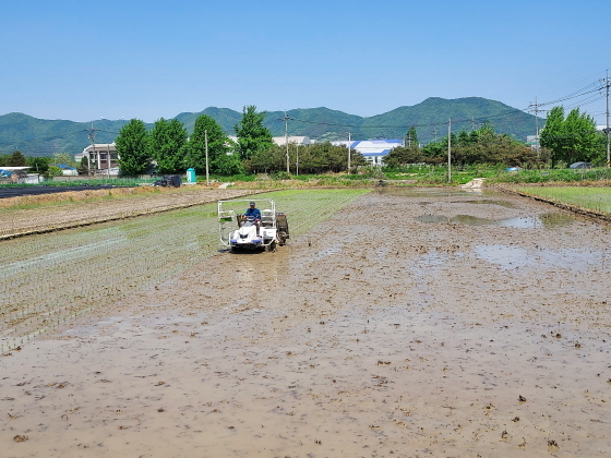 NSP통신-백옥쌀 생산단지 농업인 대상 찾아가는 교육 모습. (용인시)