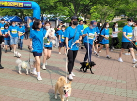 [NSP PHOTO]대구보건대 반려동물보건관리학과, 반려견·다문화청소년들과 함께 커플마라톤대회 참가